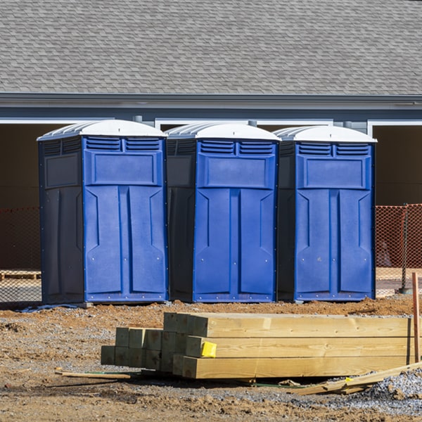 what is the cost difference between standard and deluxe porta potty rentals in Dushore